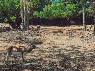 พาย้อนวันวานกลับไปวัยเด็กที่ “ Safari World”