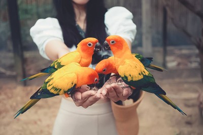 พาย้อนวันวานกลับไปวัยเด็กที่ “ Safari World”