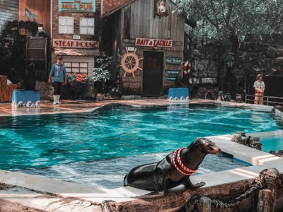 พาย้อนวันวานกลับไปวัยเด็กที่ “ Safari World”