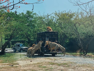 พาย้อนวันวานกลับไปวัยเด็กที่ “ Safari World”