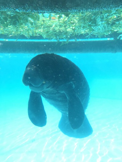 พาย้อนวันวานกลับไปวัยเด็กที่ “ Safari World”