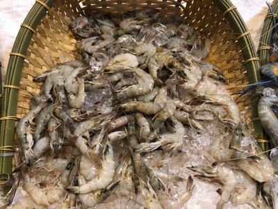 ทะเล