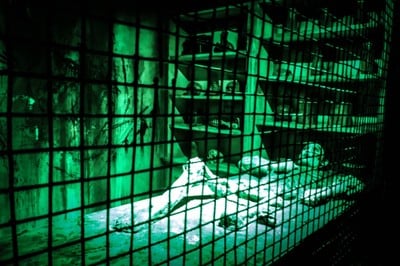 บรรยากาศ Ripley's Believe It or Not! Pattaya