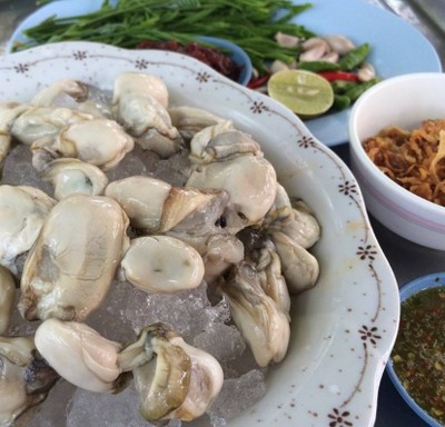 หอยนางรมสด