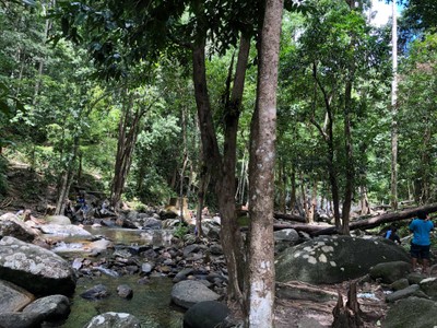 น้ำตกโตนงาช้าง