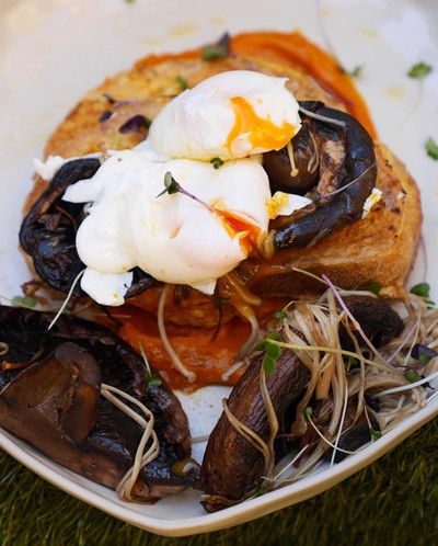 The Doc: French Toast