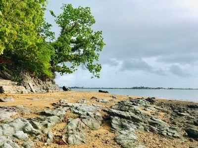 เกาะกวาง