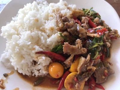 กระเพาไก่ชิ้น