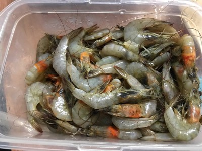 วิธีทำ กุ้งหวาน วิธีทำ กุ้งหวาน