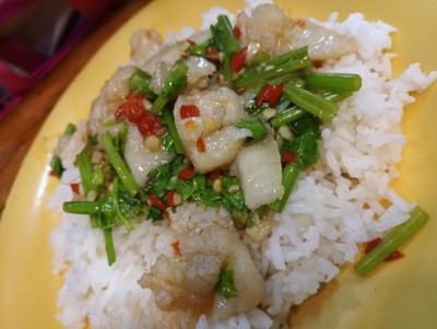 ข้าวราดปลากะพงผัดขึ้นฉ่าย