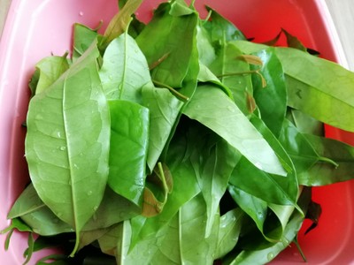 วิธีทำ ใบเหลียงผัดไข่