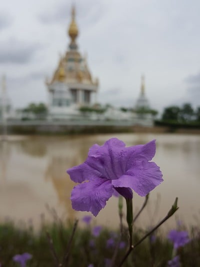 วัดทุ่งเศรษฐี