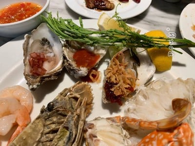 Oysters