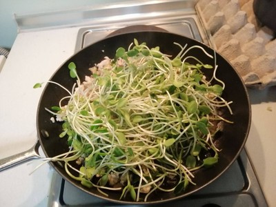 วิธีทำ ต้นอ่อนทานตะวันผัดไก่สับ วิธีทำ ต้นอ่อนทานตะวันผัดไก่สับ