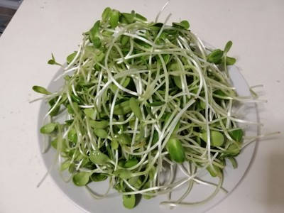 วิธีทำ ต้นอ่อนทานตะวันผัดไก่สับ วิธีทำ ต้นอ่อนทานตะวันผัดไก่สับ