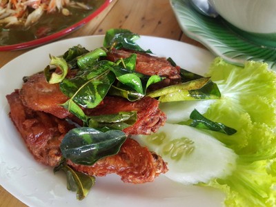 ปีกไก่ทอด