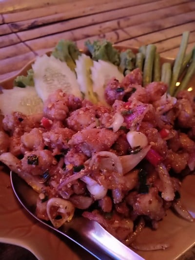 เอ็นไก่ทอดแล้วมาลาบ