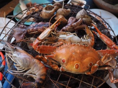 เมาทะเล ณ เชียงใหม่