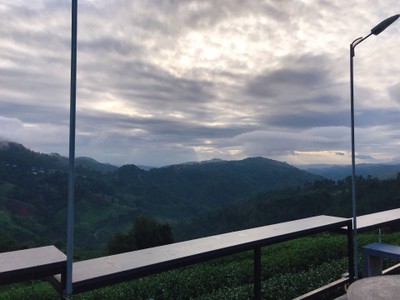 บริเวณโดยรอบ