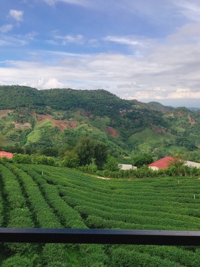 วิวนอกห้อง