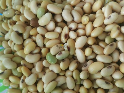 วิธีทำ น้ำเต้าหู้ น้ำนมถั่วเหลือง