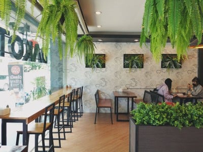 บรรยากาศ อาหารสุขภาพ Dakota Can Clean - Healthy food