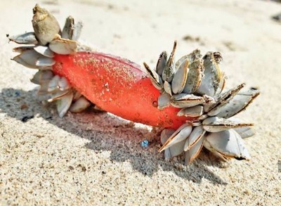  ผสมผสานกันอย่างลงตัว