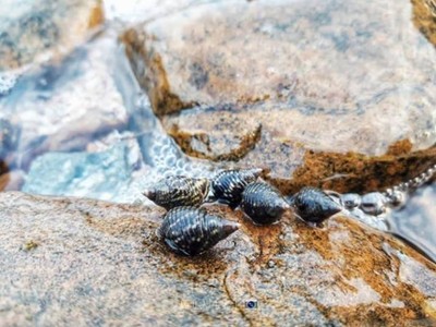 😊2 วัน 1 คืน บนเกาะล้าน😍
