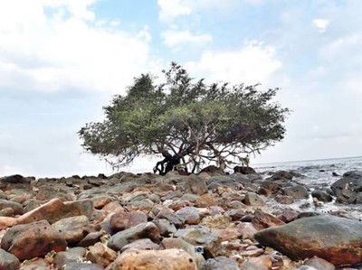 อดทนหน่อยนะ อยู่ท่ามกลางคลื่นน้ำทุกวัน