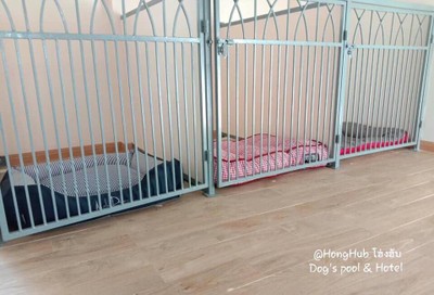 ห้องพักสำหรับน้องหมา