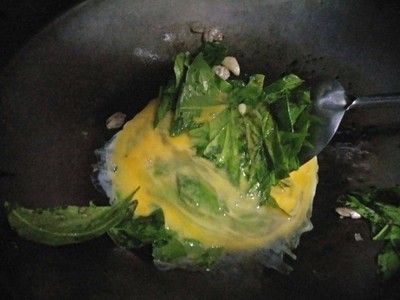 วิธีทำ ใบเหลียงผัดไข่