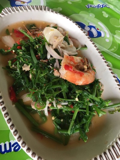 ยำผักกูด