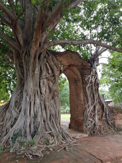 ประตูกาลเวลา