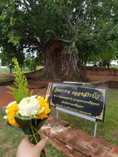 อยุธยาในแบบขวัญขวัญ 
วันเดย์ทริป