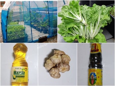 วิธีทำ ผัดผักกาดขาว ( มังฯ ) วิธีทำ ผัดผักกาดขาว ( มังฯ )