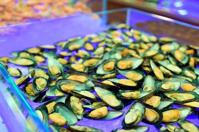 ล่องเรือดินเนอร์ ทานอาหารชมคาบาเร่ต์โชว์