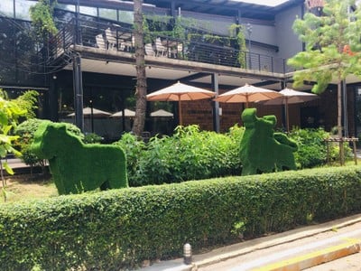 บรรยากาศ