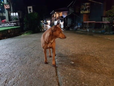บ้าน 'อีต่อง' ทองผาภูมิ กาญจนบุรีนี่เอง ~