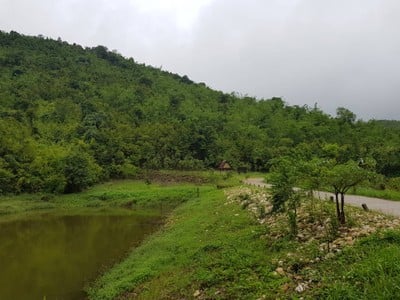 บ้าน 'อีต่อง' ทองผาภูมิ กาญจนบุรีนี่เอง ~