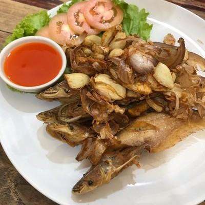 เมนู ภูเรือโภชนา