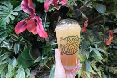 ชาเขียวน้ำผึ้งมะนาวเจลลี่