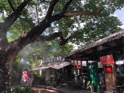 ข้าวโพดคลุกเนยชีสยืด ช่างชุ่ย