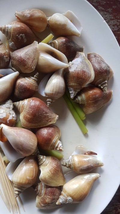 หอยชักตีน