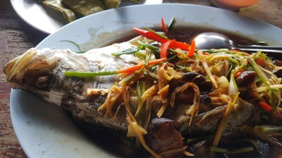 ปลากระพงนึ่งซีอิ๊ว