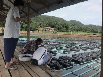 นาราฟาร์มปูนิ่ม จันทบุรี