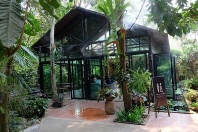 เชียงราย - แม่สาย กินจนท้องแตกลาย