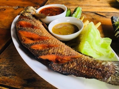 ปลาช่อนลุยสวน