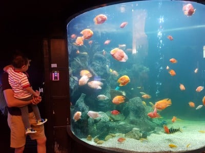 บรรยากาศ Underwater World