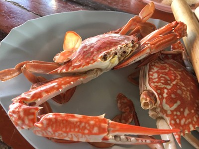 One night hideaway in “Samed”.