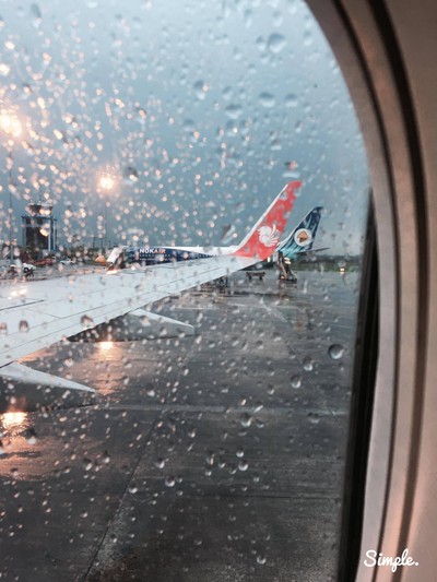 ขึ้นเครื่องกลับ